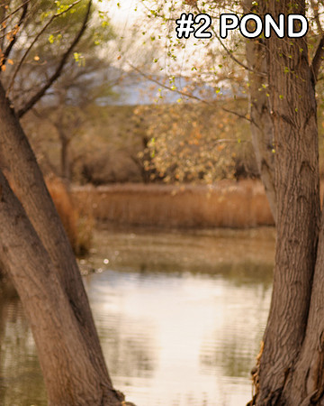 Spring25_002