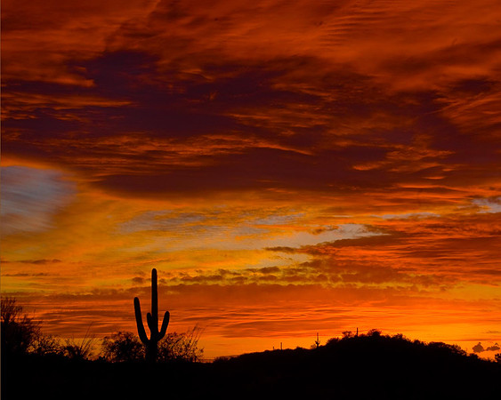 Arizona Sunset