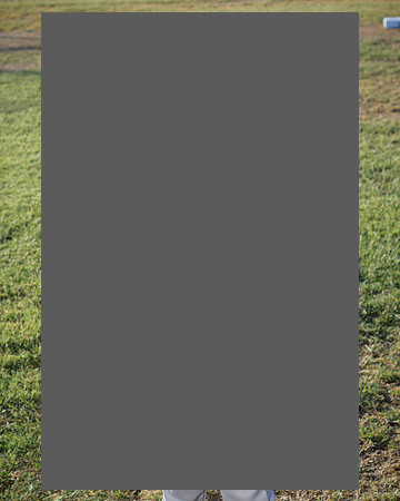 TLLF_006