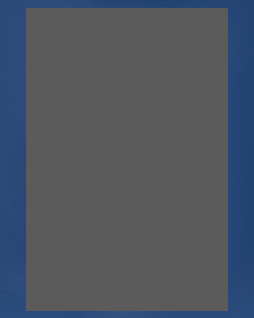 SDA2P_010