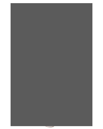 SHSCH_005