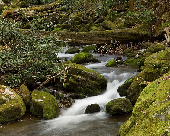Smokey Mountain Stream