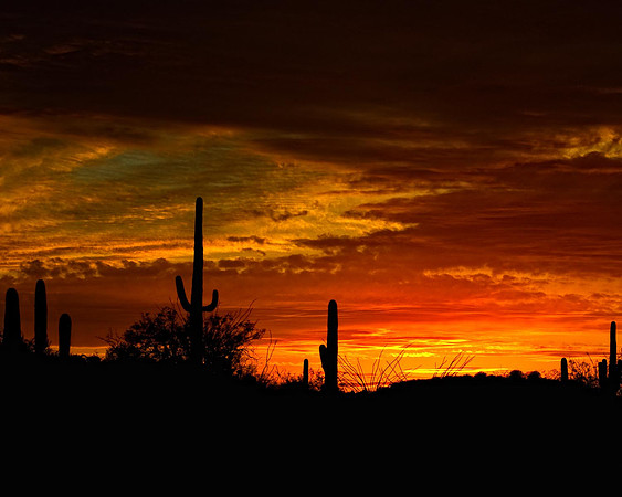Arizona Sunset 2