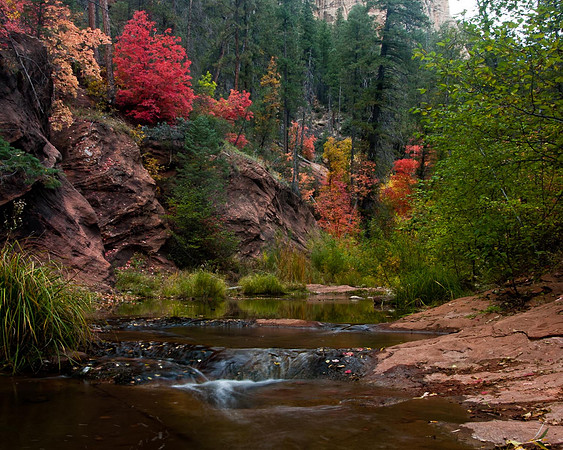 West Fork Stream Sedona