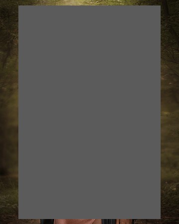 FMS_004 copy_2